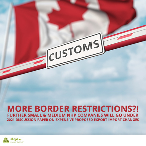 Export Import Discussion Paper Web 500 x 500 Aug 2021