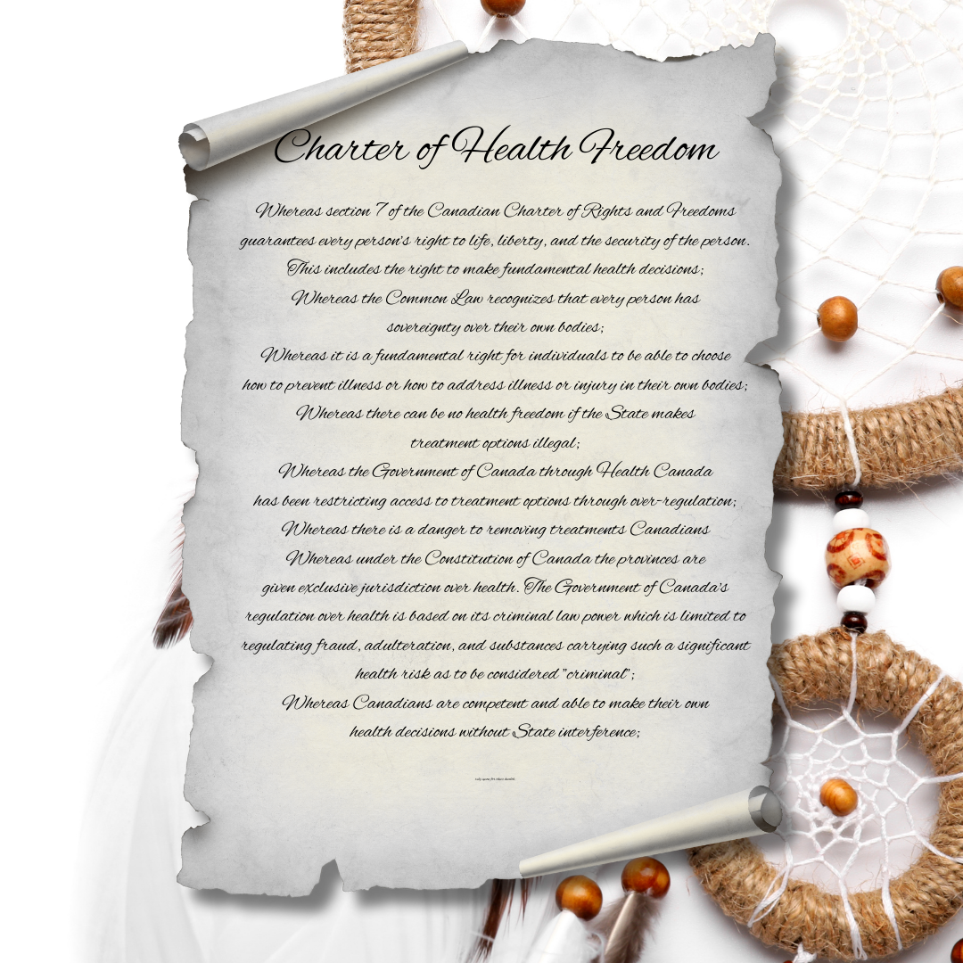 Charter Dream Catcher